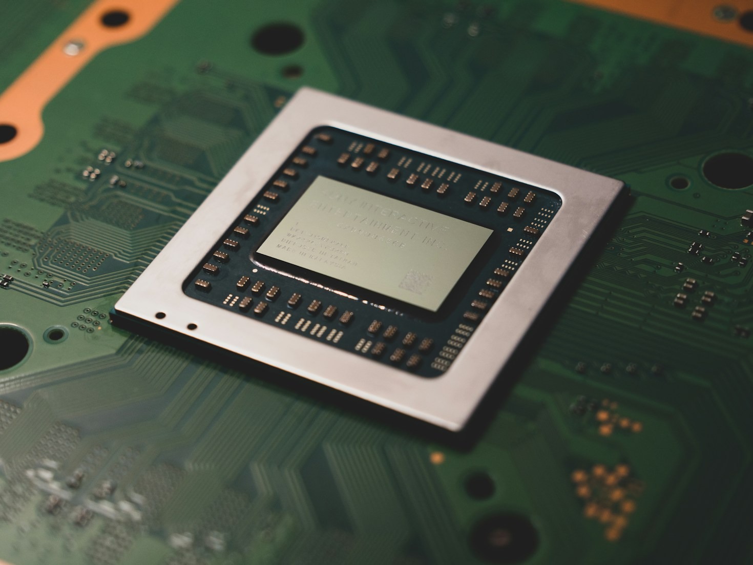 The Science Behind AI-Powered Bird Management